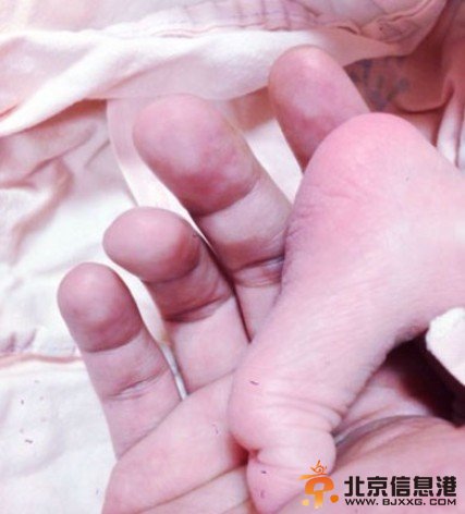 陈晓东老婆产6斤重女婴 陈晓东与护士老婆王妤娴情史回顾【组图】