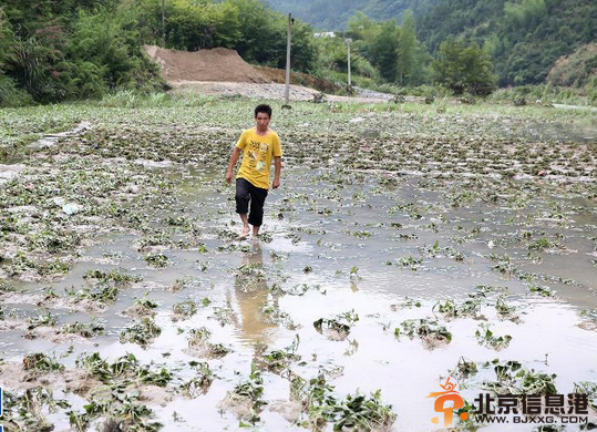 江西修水遭强降雨袭击 农田被淹【图】