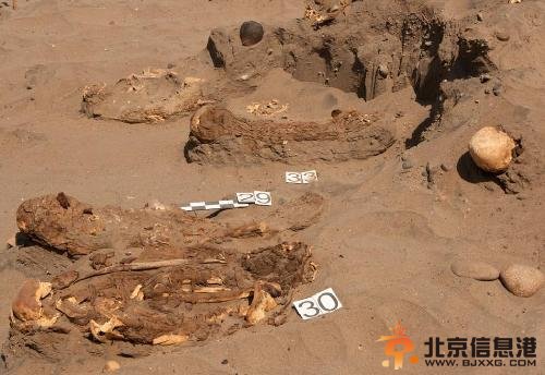 智利沙漠发现150具木乃伊 来自公元4世纪(图)