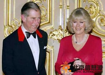 英国王妃被曝离婚