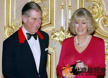 英国王妃离婚索赔2亿 当年费尽心机今分手