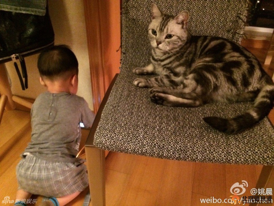 姚晨晒小土豆合影力证像自己 网友调侃：还是更像他爹！【图】