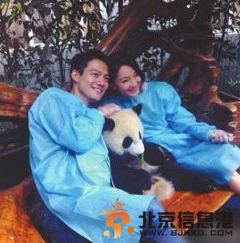 周迅年底嫁高圣远 已过40岁高龄产妇急需生子