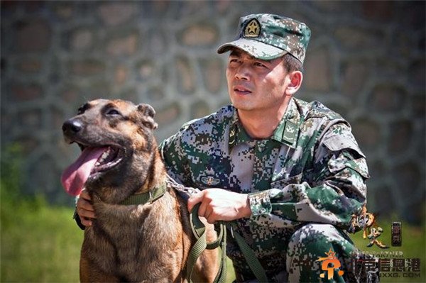 《神犬奇兵》醇男杨烁变身全能“汪爸”