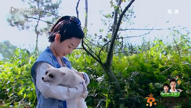 这小狐狸的特效太牛叉了！