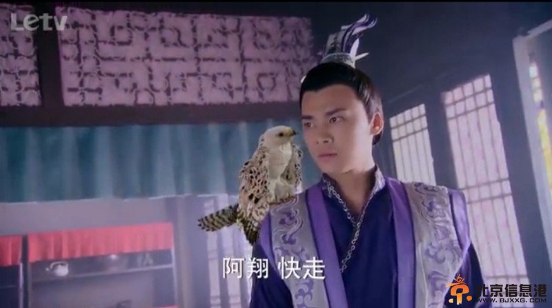 这个阿翔好瘦啊?哪有一点胖的样子?