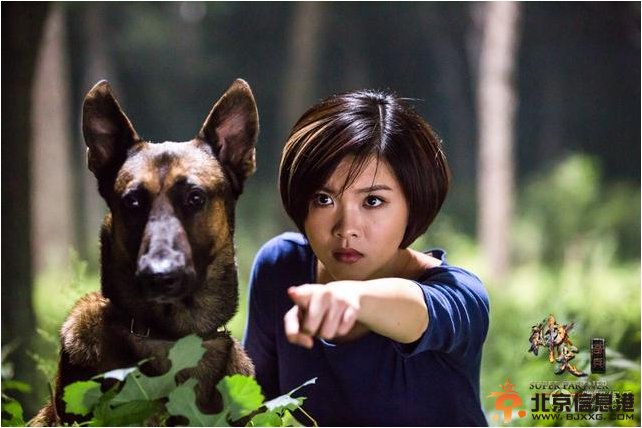 《神犬奇兵》多元化风格为暑期档增光添彩