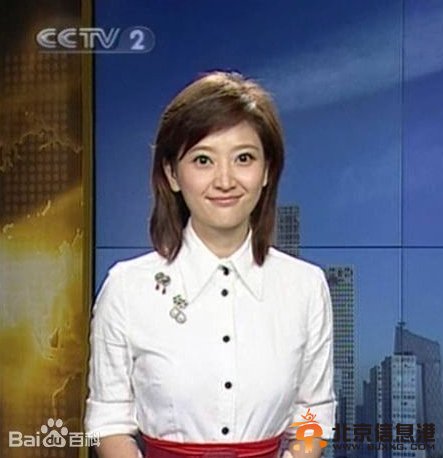 央视财经频道女主持人盘点:欧阳智薇章艳秦方形象气质佳【组图】