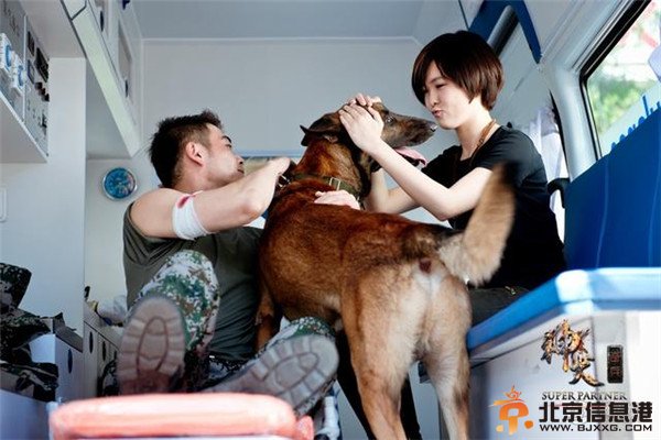 神犬奇兵金凤凰扮演者王洋参演电视剧