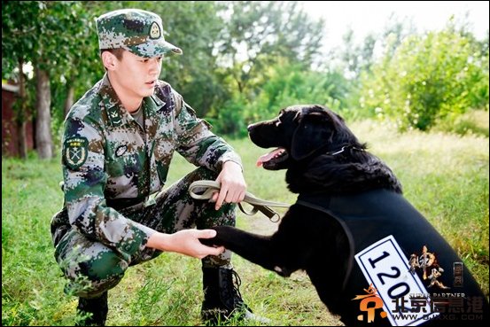 神犬奇兵经典台词汇总