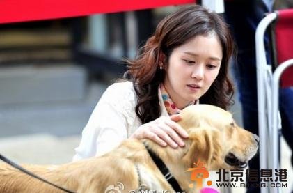 韩版命中注定我爱你经典台词