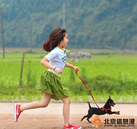 爸爸去哪儿本周看点 少女贝儿害羞紧牵费曼 黄多多黏爸爸