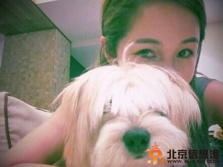 萧亚轩晒柯震东收养狗狗网友看不懂 <a href='http://www.bjxxg.cn/ent/' target='_blank'><u>娱乐</u></a>是个圈你一认真输了