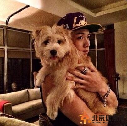 萧亚轩晒柯震东收养狗狗网友看不懂 <a href='http://www.bjxxg.cn/ent/' target='_blank'><u>娱乐</u></a>是个圈你一认真输了