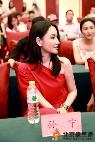 《汉阳造》孙宁演绎追爱女特工