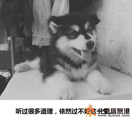 韩寒后会无期经典台词 韩寒后会无期金句汇总