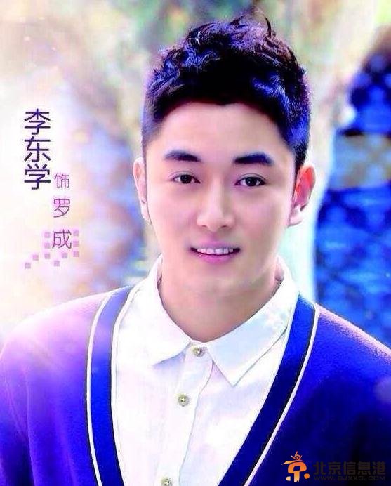 假如幸福来临演员表 罗成/罗世亨（李东学饰）
