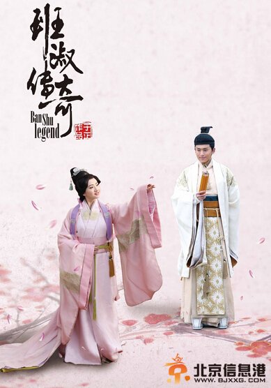 班淑传奇剧情介绍1-45集大结局