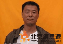 收获的季节剧情介绍1-38集大结局