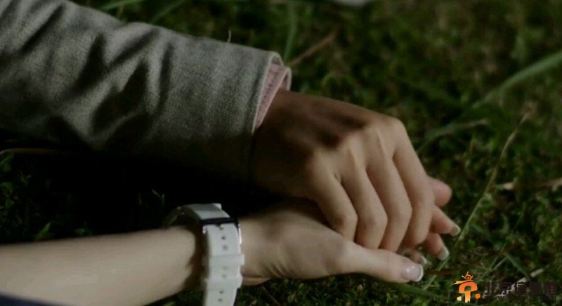 《爱情回来了》高见先坠入爱河