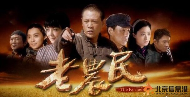 老农民剧情介绍（1-40集大结局）