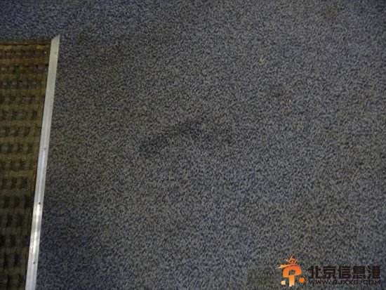 英剧院疑似“闹鬼” 座椅半夜神秘自行移动(图) 