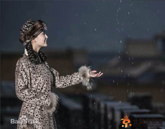 班淑传奇剧情介绍