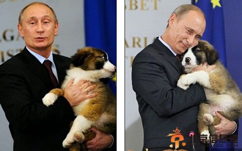 俄副总理嘲讽奥巴马：你的宠物是狗 普京宠物是豹子