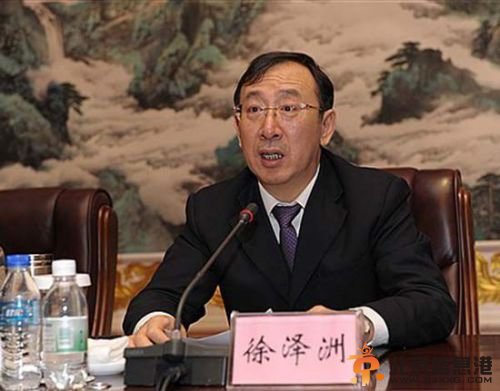 徐泽洲简历照片近况 徐泽洲将出任上海组织部部长