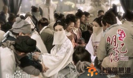 女医明妃传剧情介绍