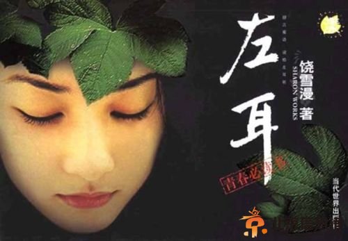 苏有朋首当导演 执导饶雪漫《左耳》