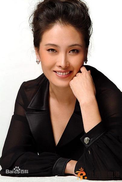 美妙的奇遇宫夫人扮演者贾妮个人资料及照片