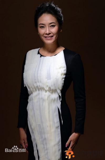 美妙的奇遇宫夫人扮演者贾妮个人资料及照片