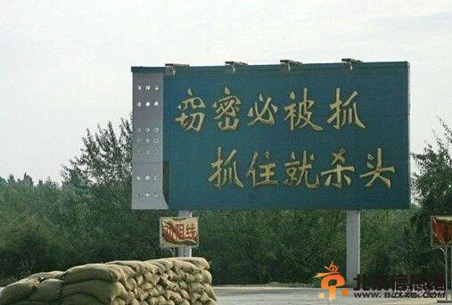 加拿大间谍