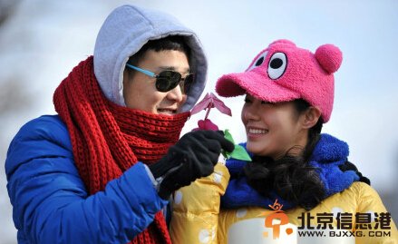 收获的季节剧情介绍1-38集大结局