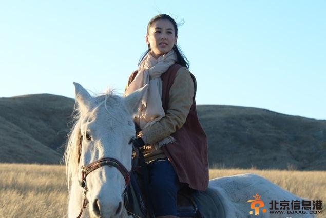 来自草原的你剧照