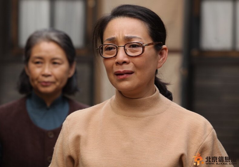 历史转折中的邓小平剧情介绍