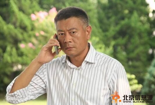 历史转折中的邓小平剧情介绍