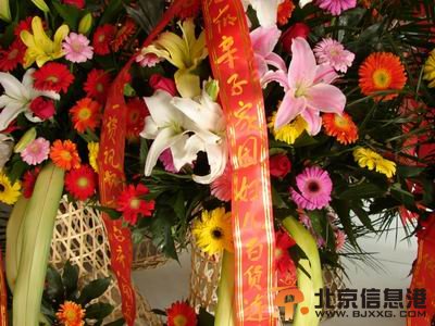 29岁宁夏交警吴涛因公殉职 吴涛简历照片