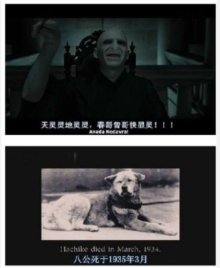人人影视国际版关停 回味那些年字幕组的神翻译【组图】