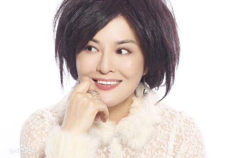 杀寇决二太太是谁演的 二太太扮演者田岷资料照片