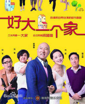 电视剧好大一个家分集剧情 好大一个家1~38分集剧情