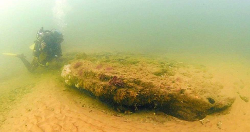 北海海底发现1万年前远古树林 生长于冰河世纪