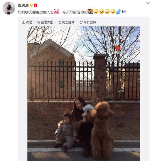 霍思燕带儿子与宠物玩耍 巨型爱犬抢镜
