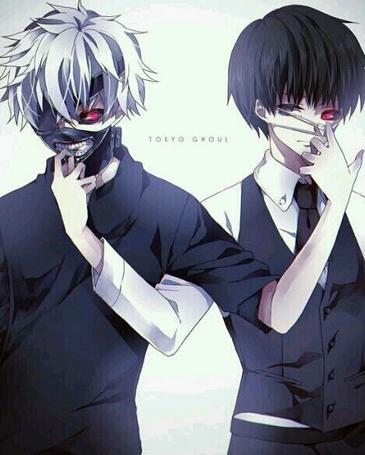 东京食尸鬼第二季最强分析 青铜树将分裂小天使必救小枭大揭秘