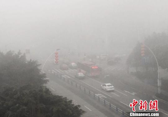 四川迎春节返程高峰多地因大雾高速关闭（图）