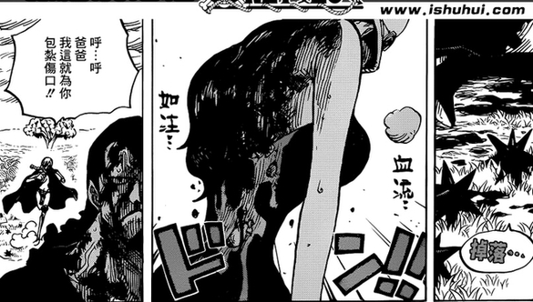 海贼王分析,海贼王剧情预告,oproom