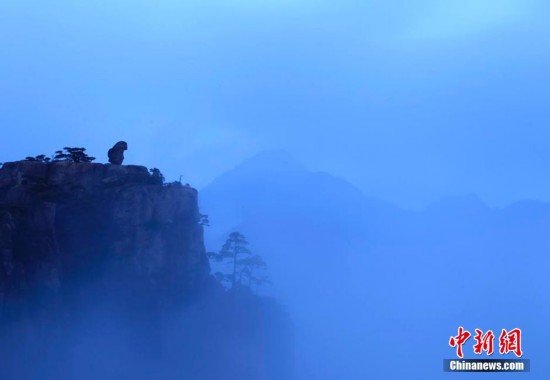 黄山再现壮观云海 浪花飞溅，惊涛拍岸