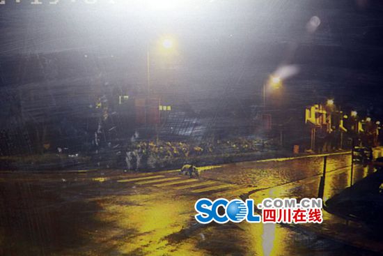 大熊猫深夜逛街逗乐网友 憨态可掬的模样可爱极了