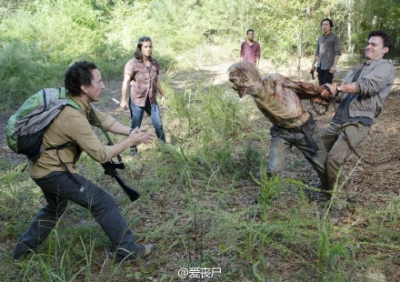 行尸走肉第五季14集中字直播 TV版格伦一定会死
